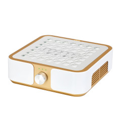 Pochłaniacz pyłu MOMO P30 60W złoty